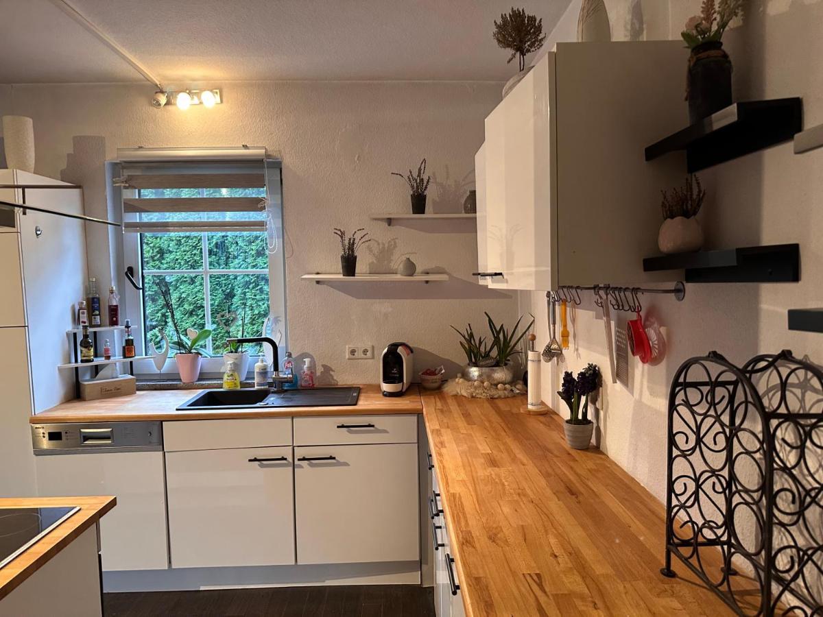4 Zimmer 11 Personen Wohnung Garten Terrasse Grill 2 Badezimmer Wuppertal Luaran gambar